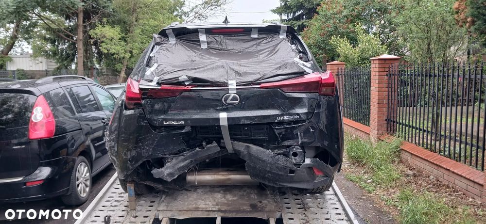 Lexus UX 250h - 6