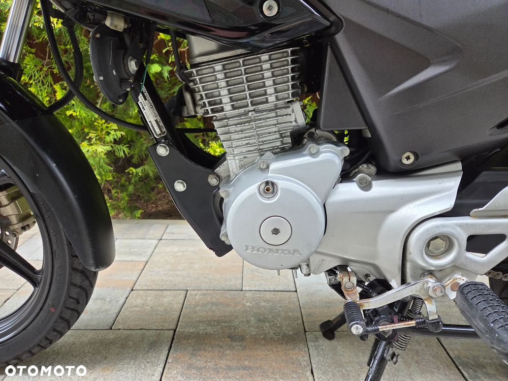 Honda CBF - 20