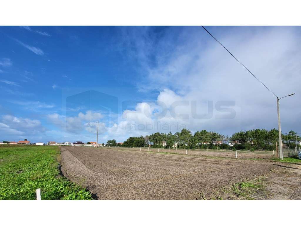 Terreno com duas frentes para venda - Vagueira - Grande imagem: 3/4