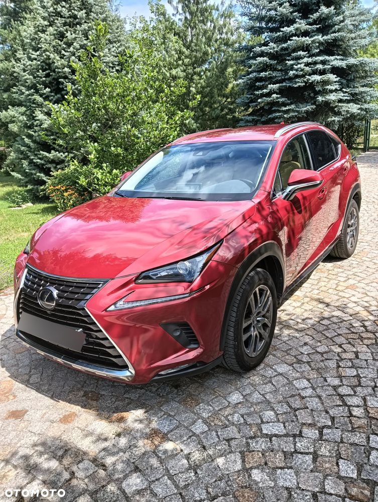 Lexus NX ver-300h-business-edition-awd - 2