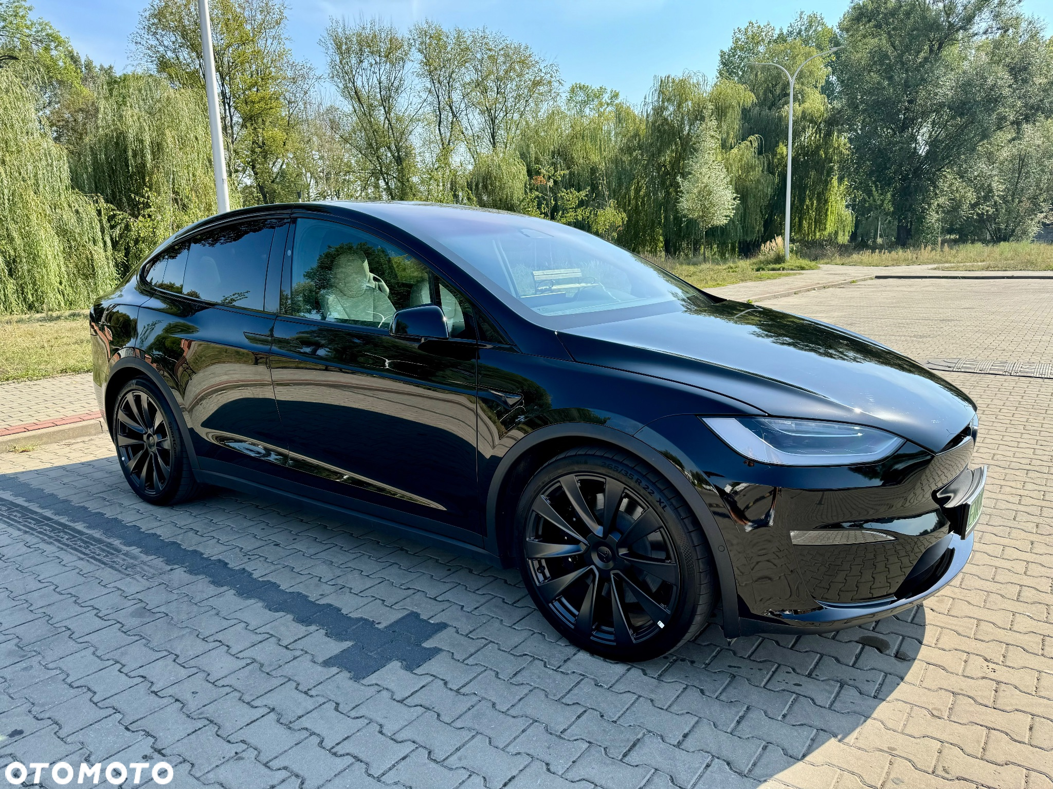 Tesla Model X Plaid - 6