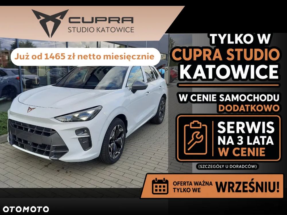 Cupra Terramar 2.0 TSI 4Drive VZ DSG - 1