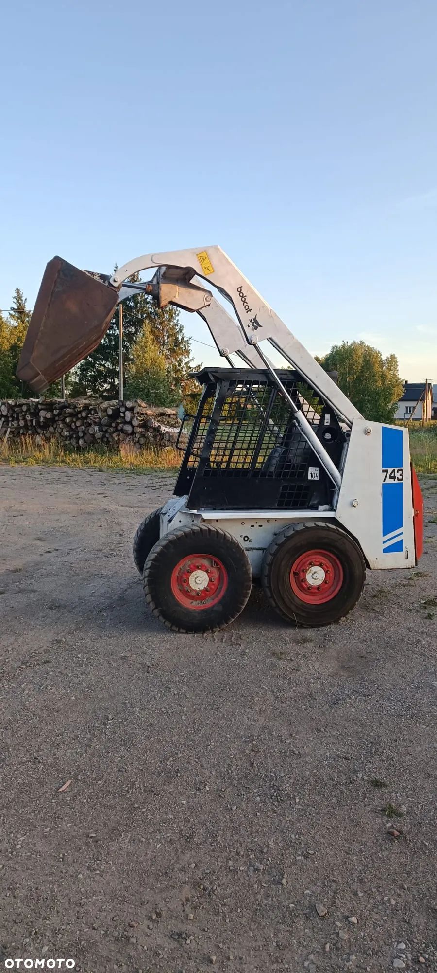 Bobcat - 1