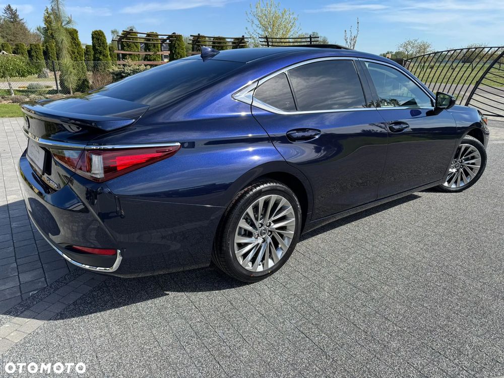 Lexus ES 300h Omotenashi - 12