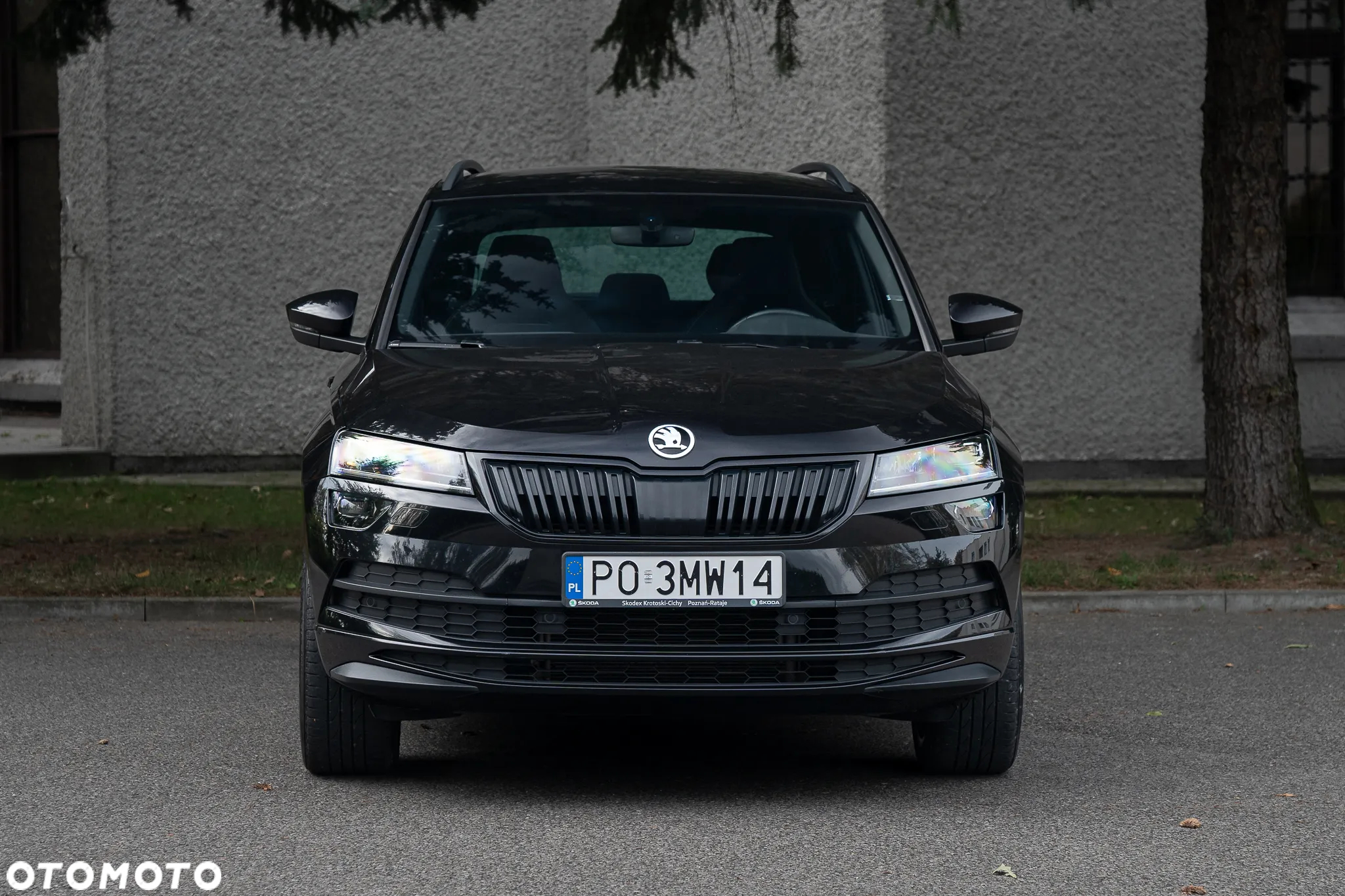 Skoda Karoq 2.0 TSI 4x4 Sportline DSG - 2