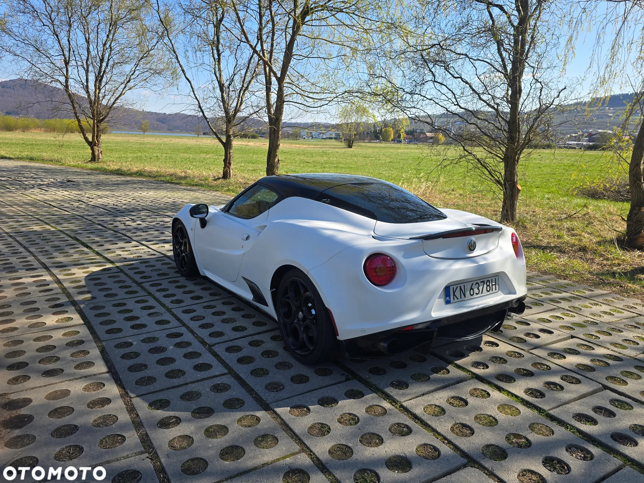 Alfa Romeo 4C 1750 TBi TCT - 10