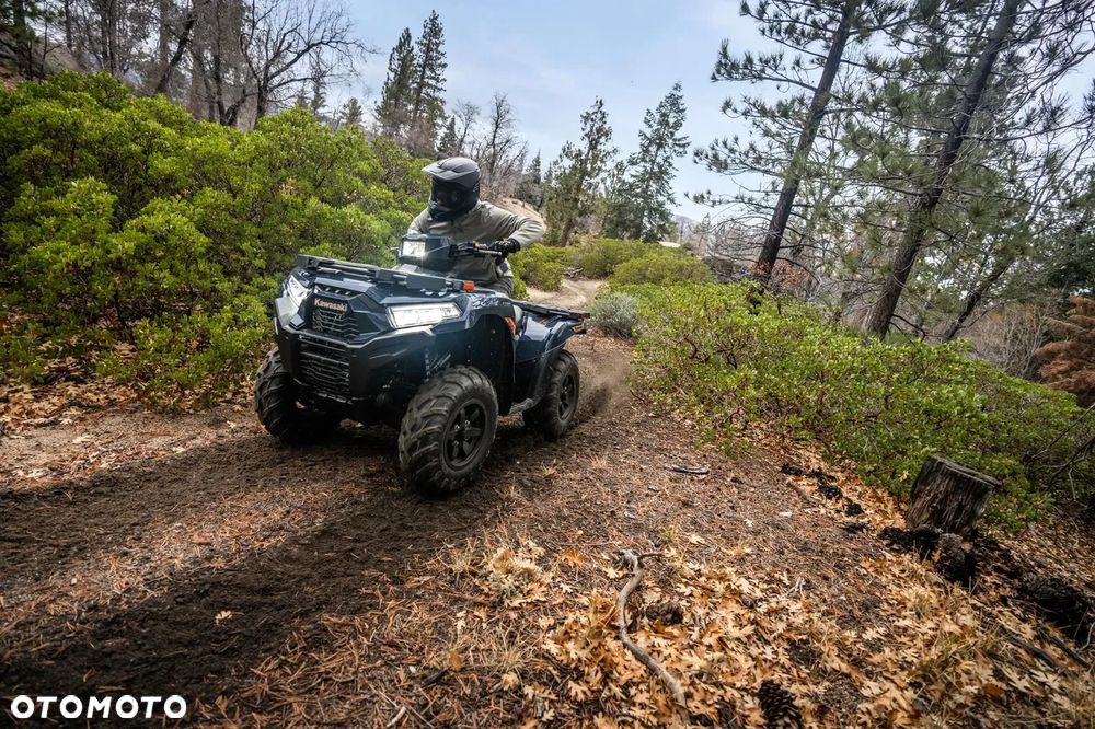 Kawasaki Brute Force - 11