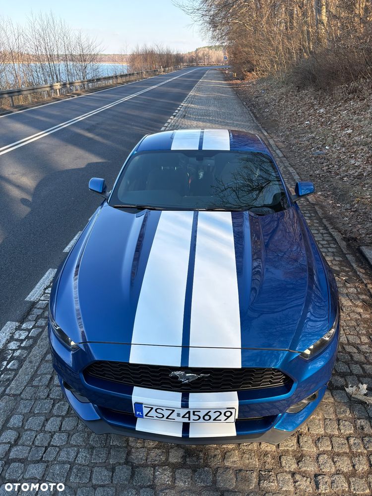 Ford Mustang 3.7 V6 - 12