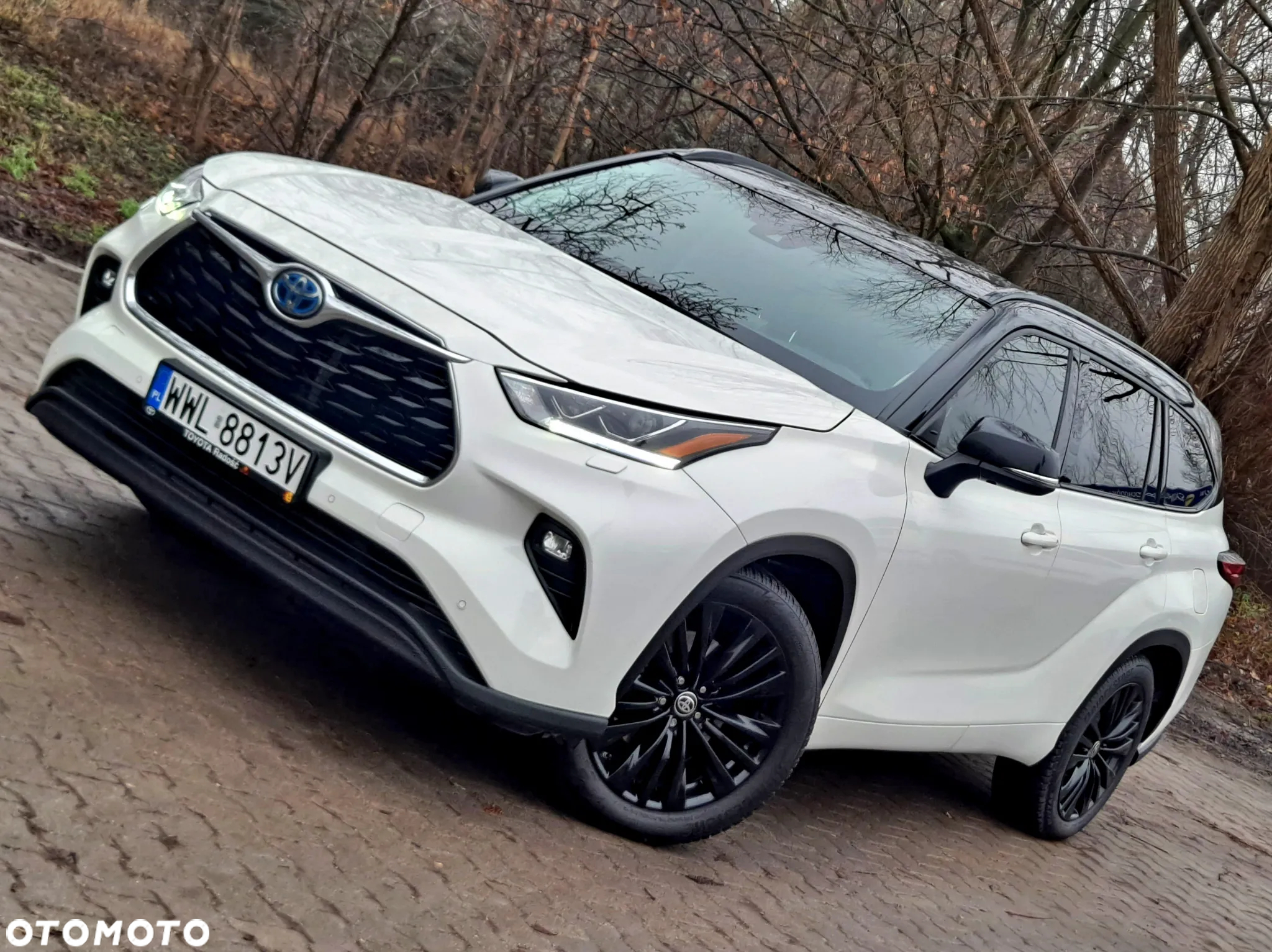 Toyota Highlander 2.5 Hybrid Executive - 27