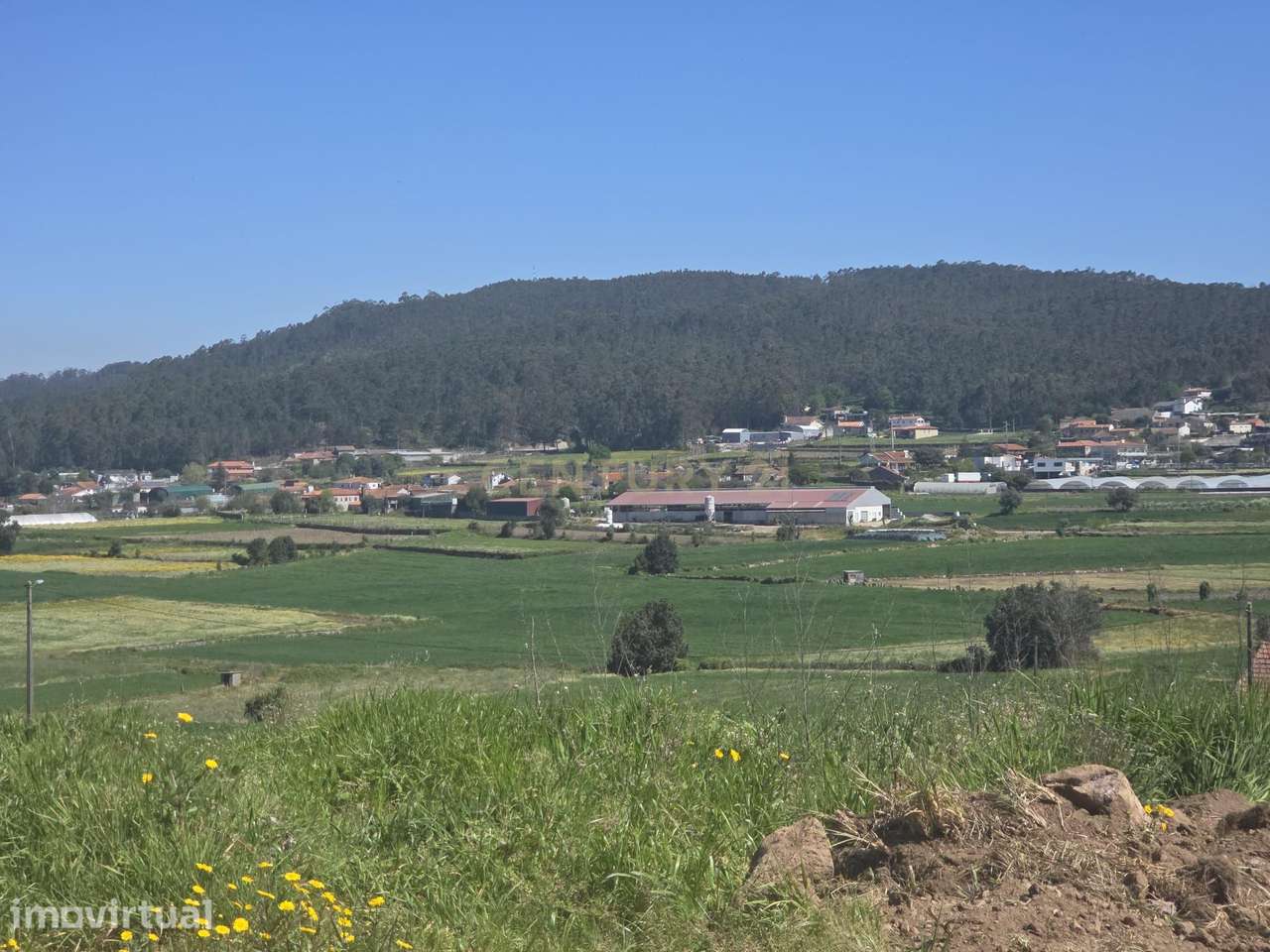 Lote para construção de moradia de três frentes, Vilar de Figos, Lote5 - Grande imagem: 3/19
