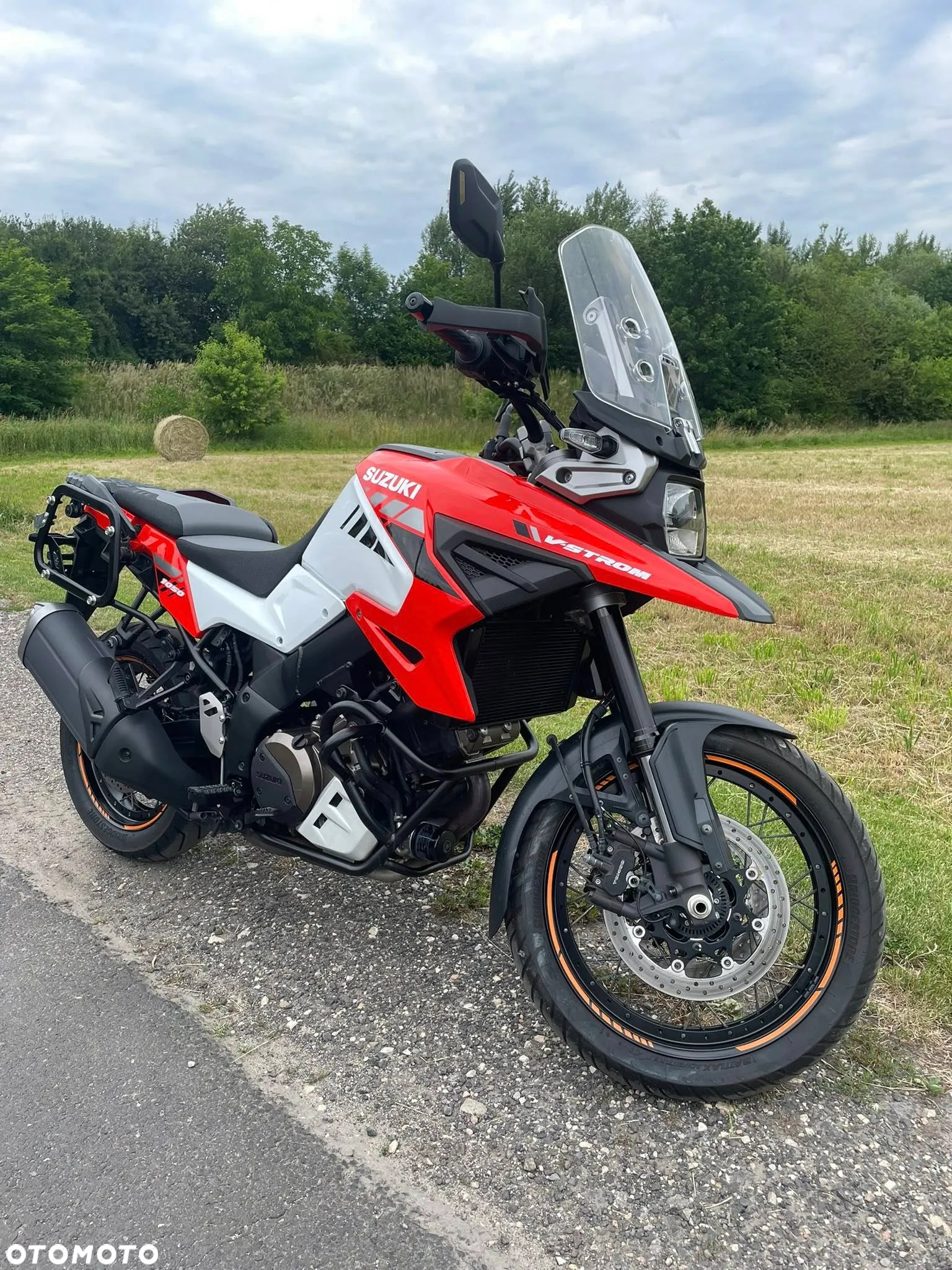 Suzuki DL