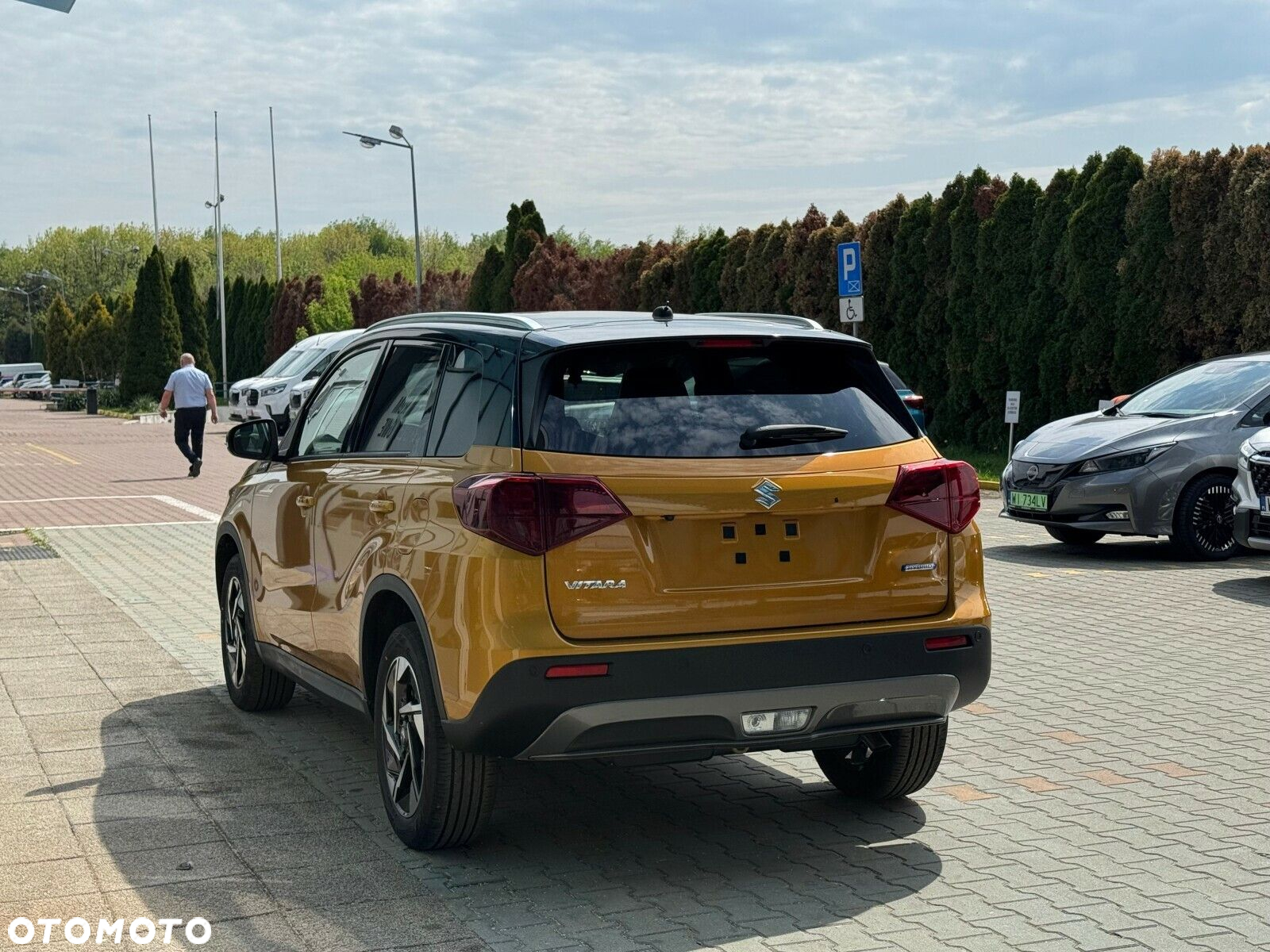 Suzuki Vitara - 4