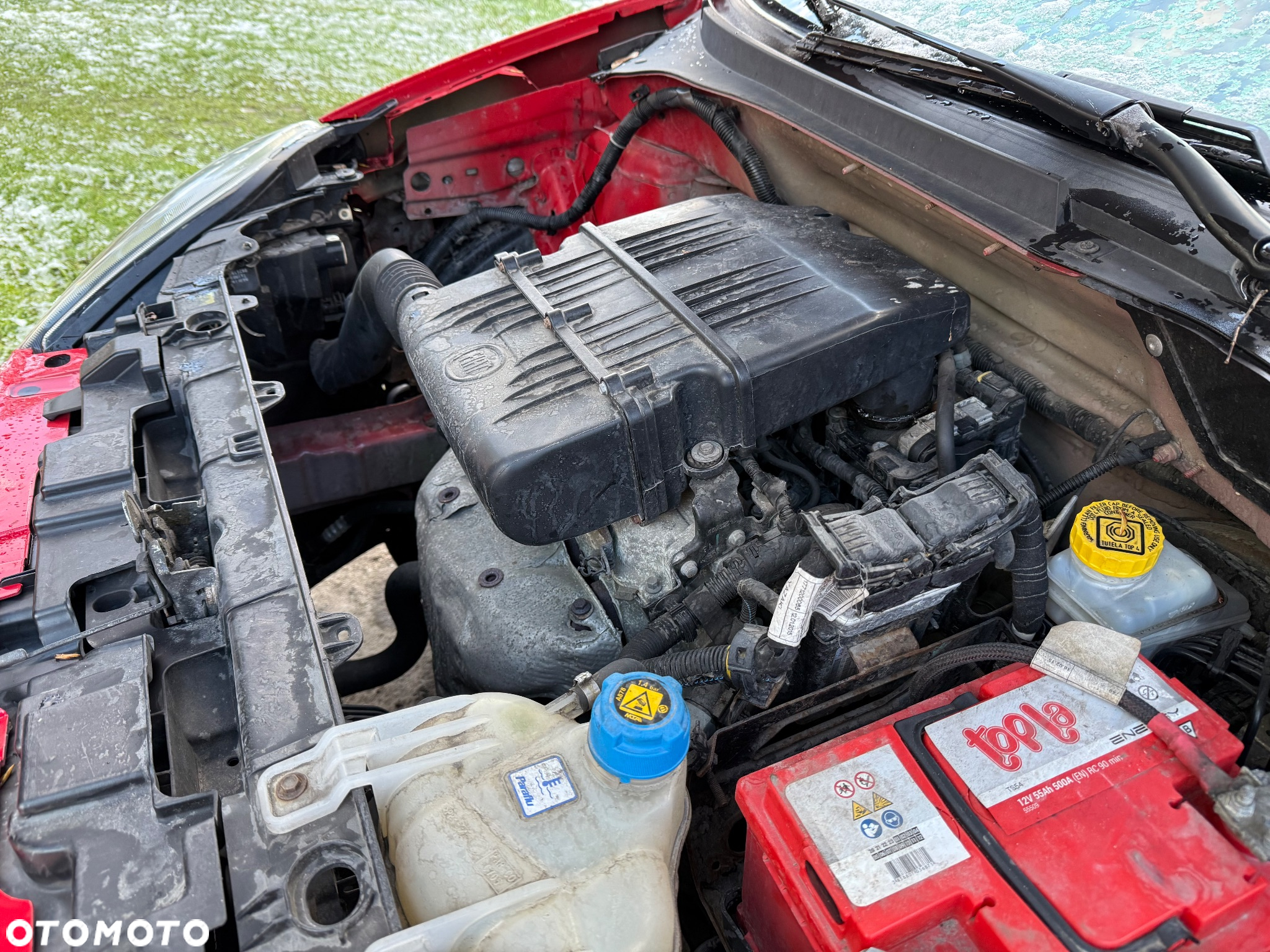 Fiat Punto - 23
