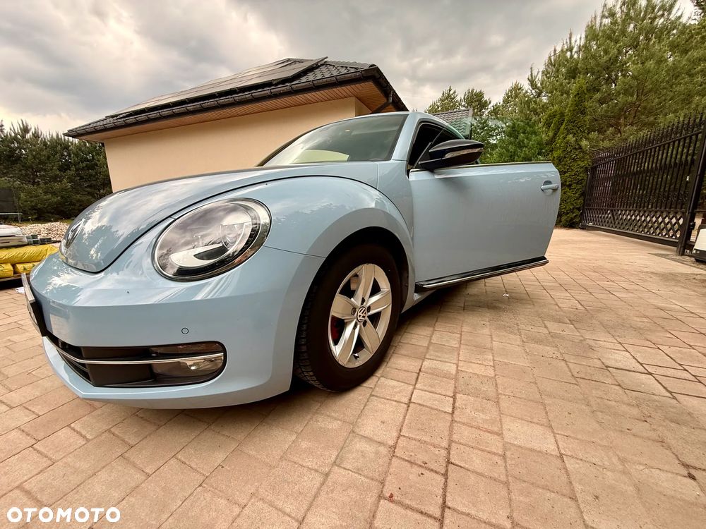 Volkswagen Beetle - 21