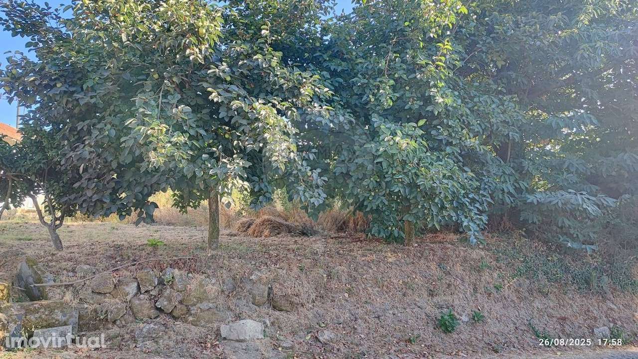 Terreno  para venda - Grande imagem: 4/5