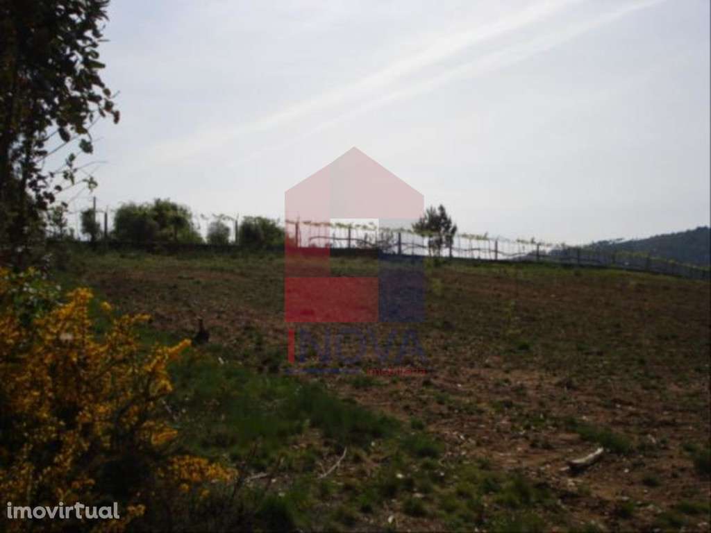 Terreno, Oleiros - Grande imagem: 3/5