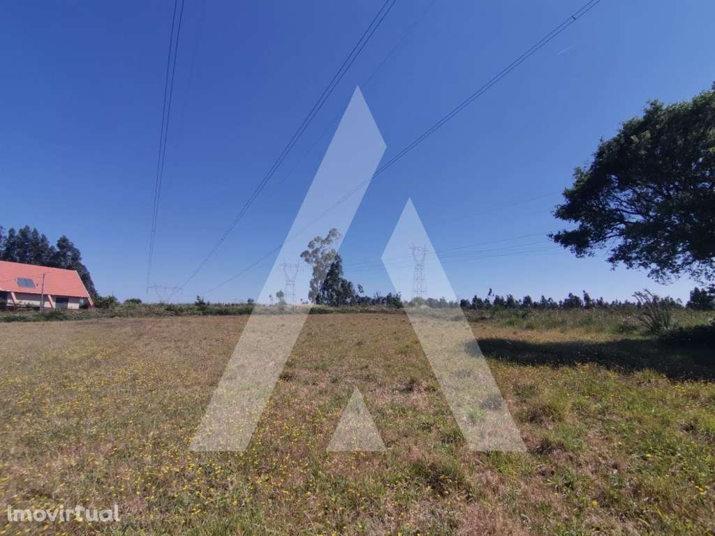 Terreno Urbano para Construção de Moradia nas Frias - Albergaria-a-... - Grande imagem: 4/11
