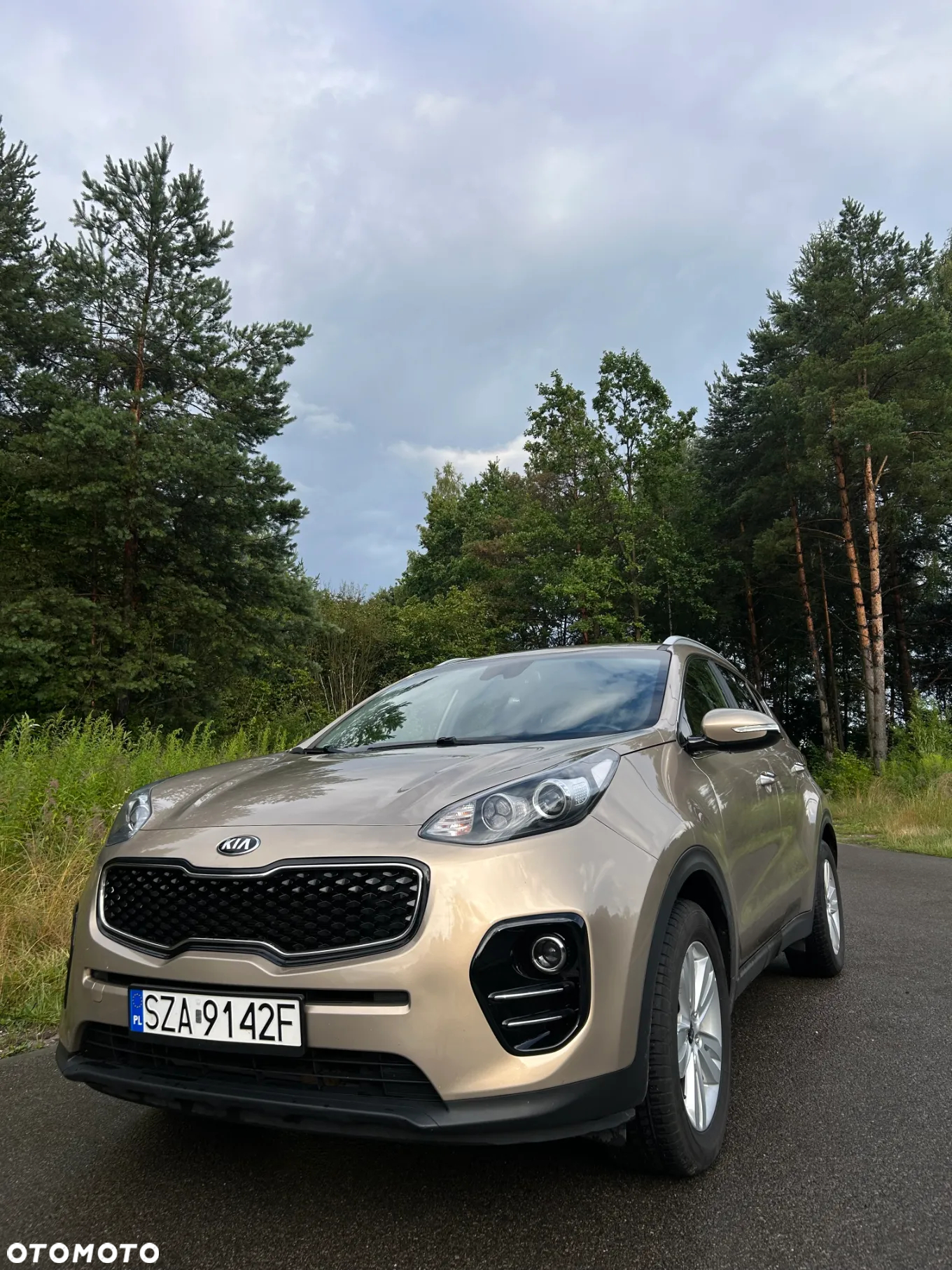 Kia Sportage 1.6 GDI M 2WD - 10