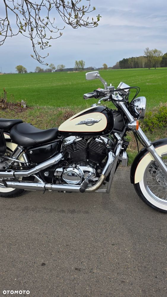 Honda Shadow - 5