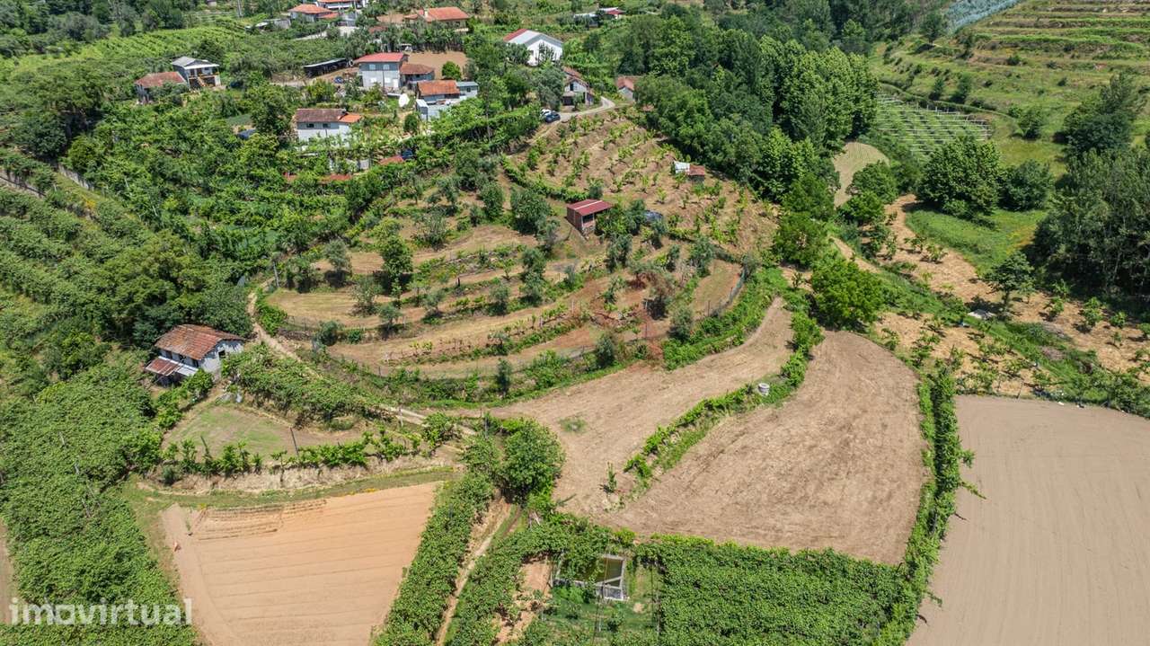 Terreno com 5.000 m² com Potêncial De Construção - Grande imagem: 2/8