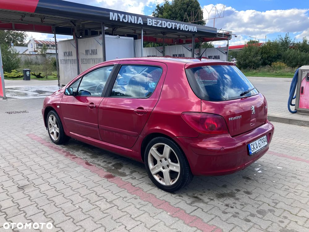 Peugeot 307 - 15
