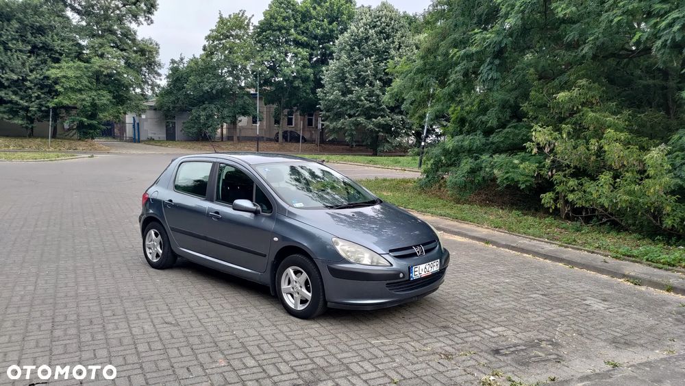 Peugeot 307 1.6 - 7