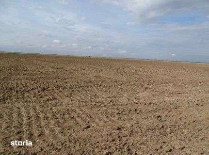 Teren extravilan Scurtu Mare, ID: R2928611 - Imagine principală: 3/11