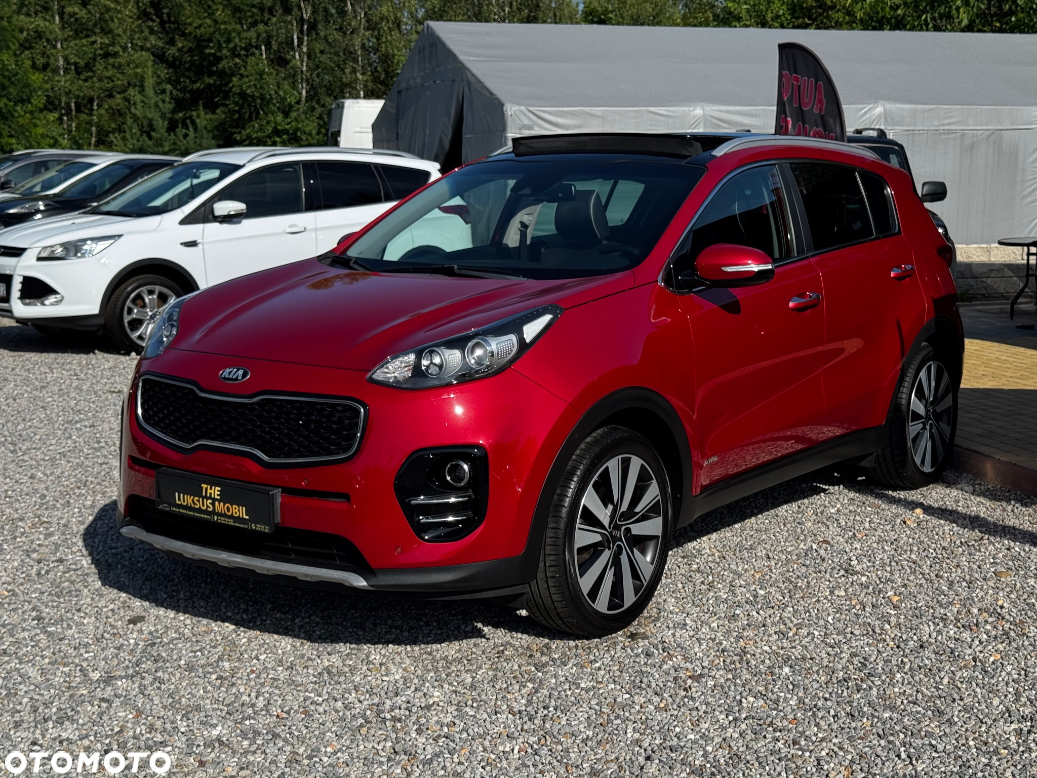 Kia Sportage 1.6 T-GDI Black Edition Plus 4WD DCT - 2