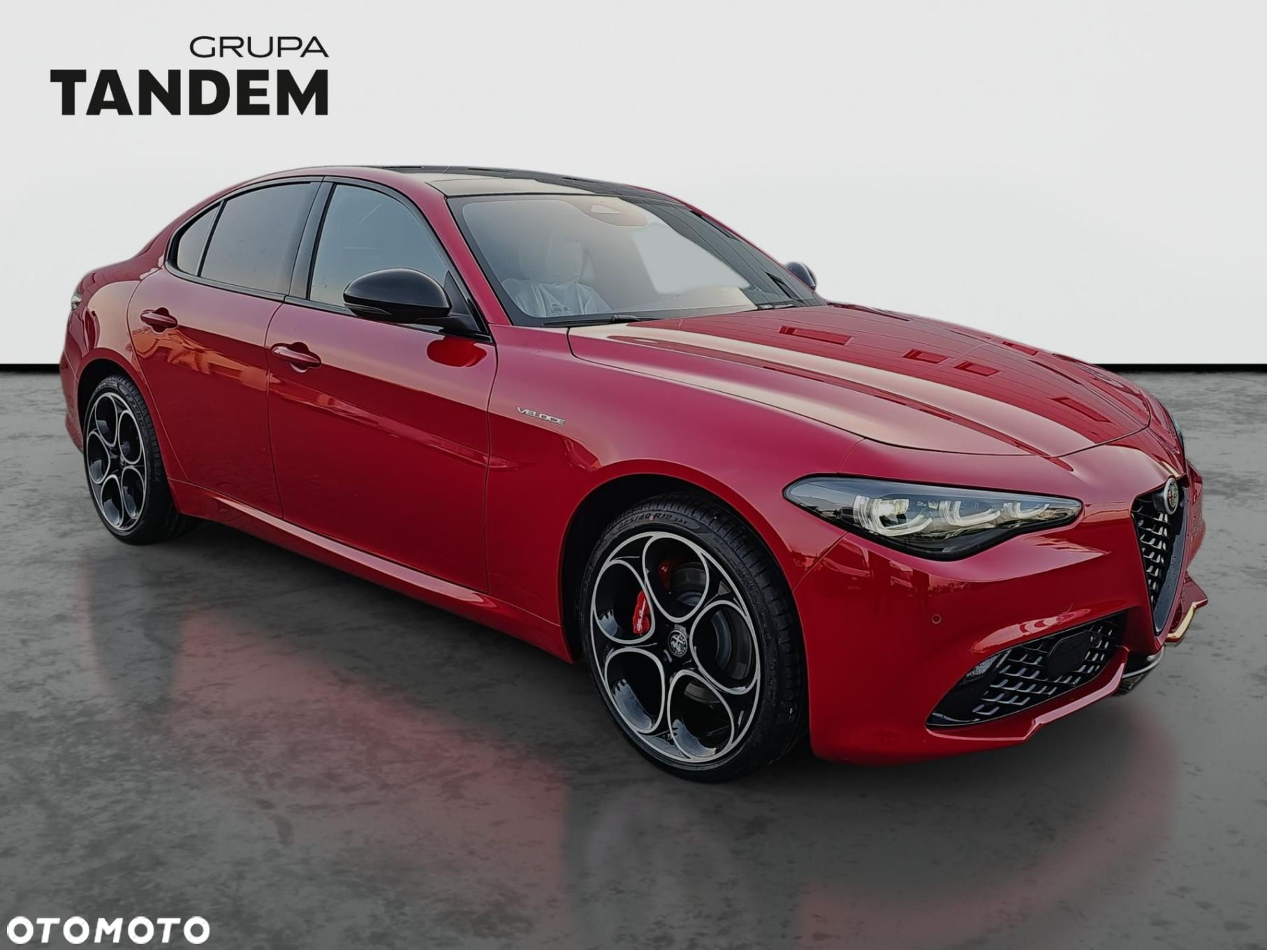 Alfa Romeo Giulia 2.0 Turbo Veloce Q4 - 3