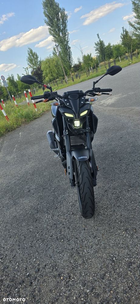 Yamaha MT - 6