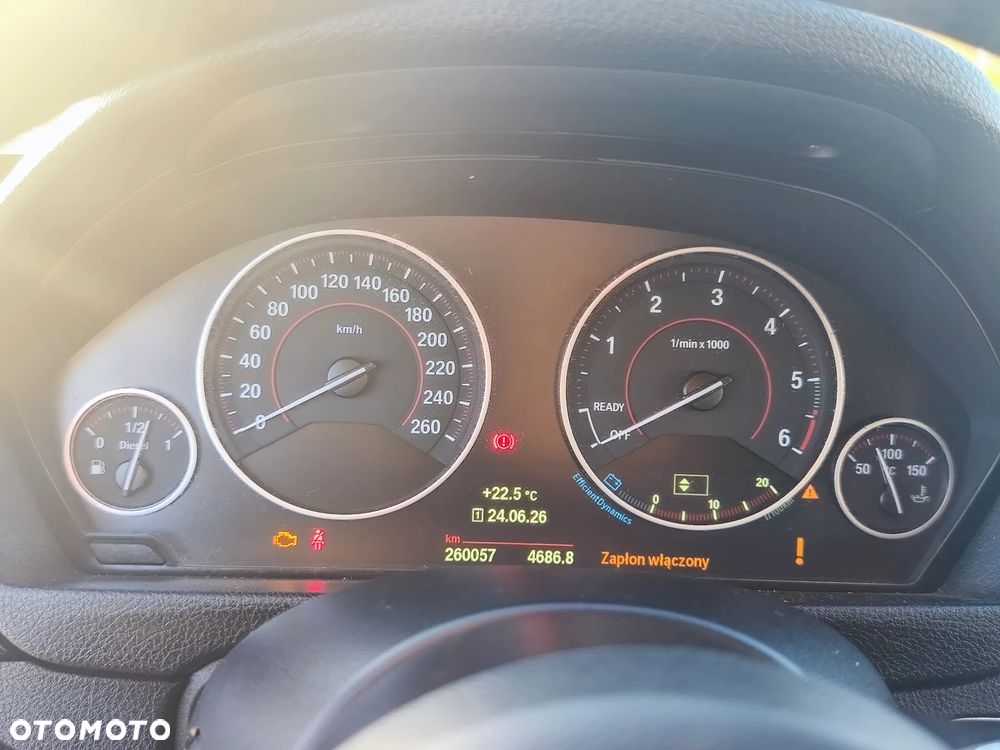 BMW Seria 3 316d Sport Line - 10