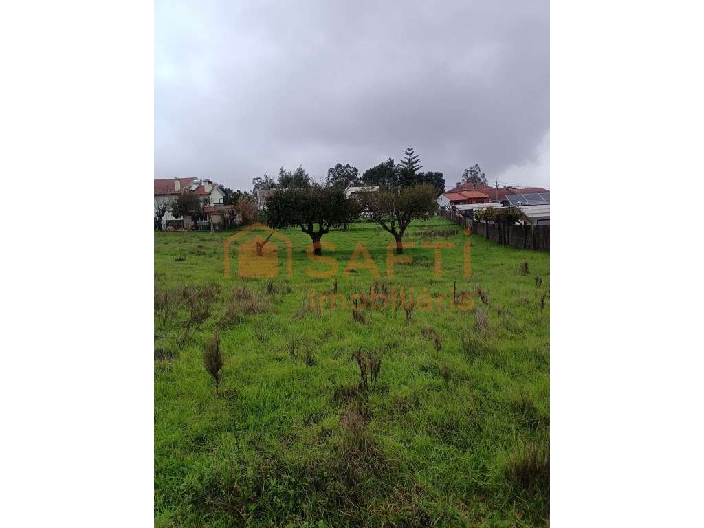 Terreno Urbano Albergaria-a-Velha Lote 5 - Grande imagem: 3/4