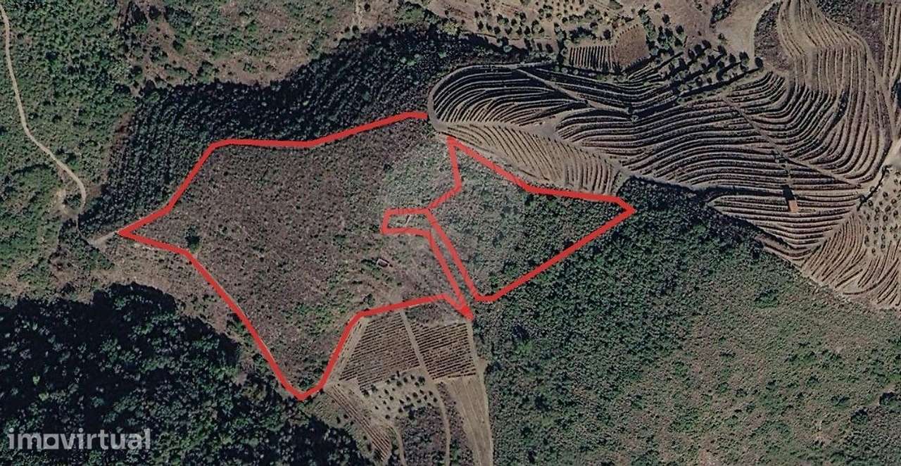 Terreno  para venda