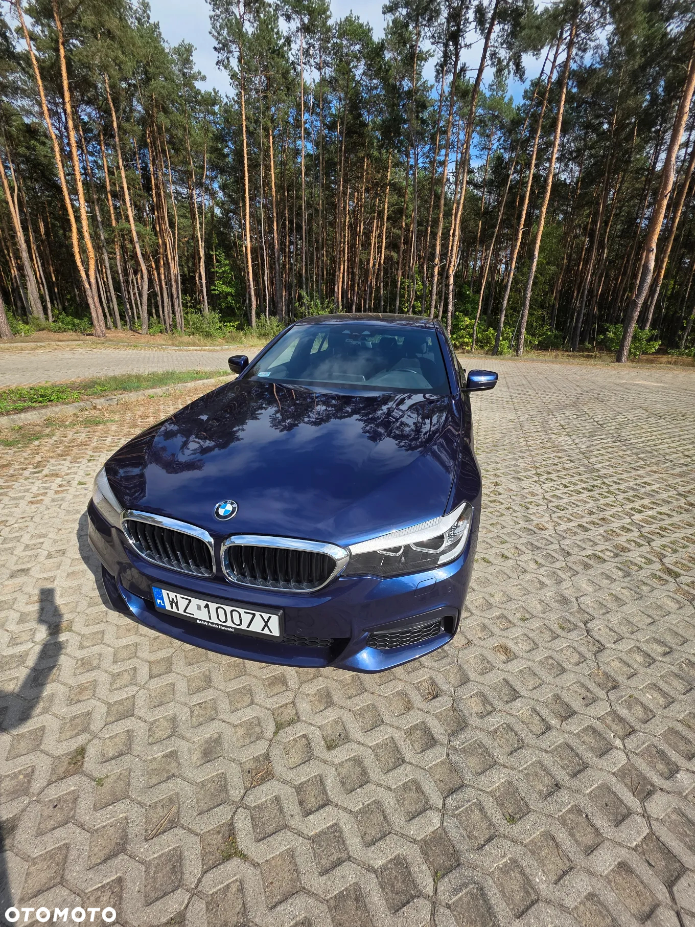 BMW Seria 5 520d xDrive - 16