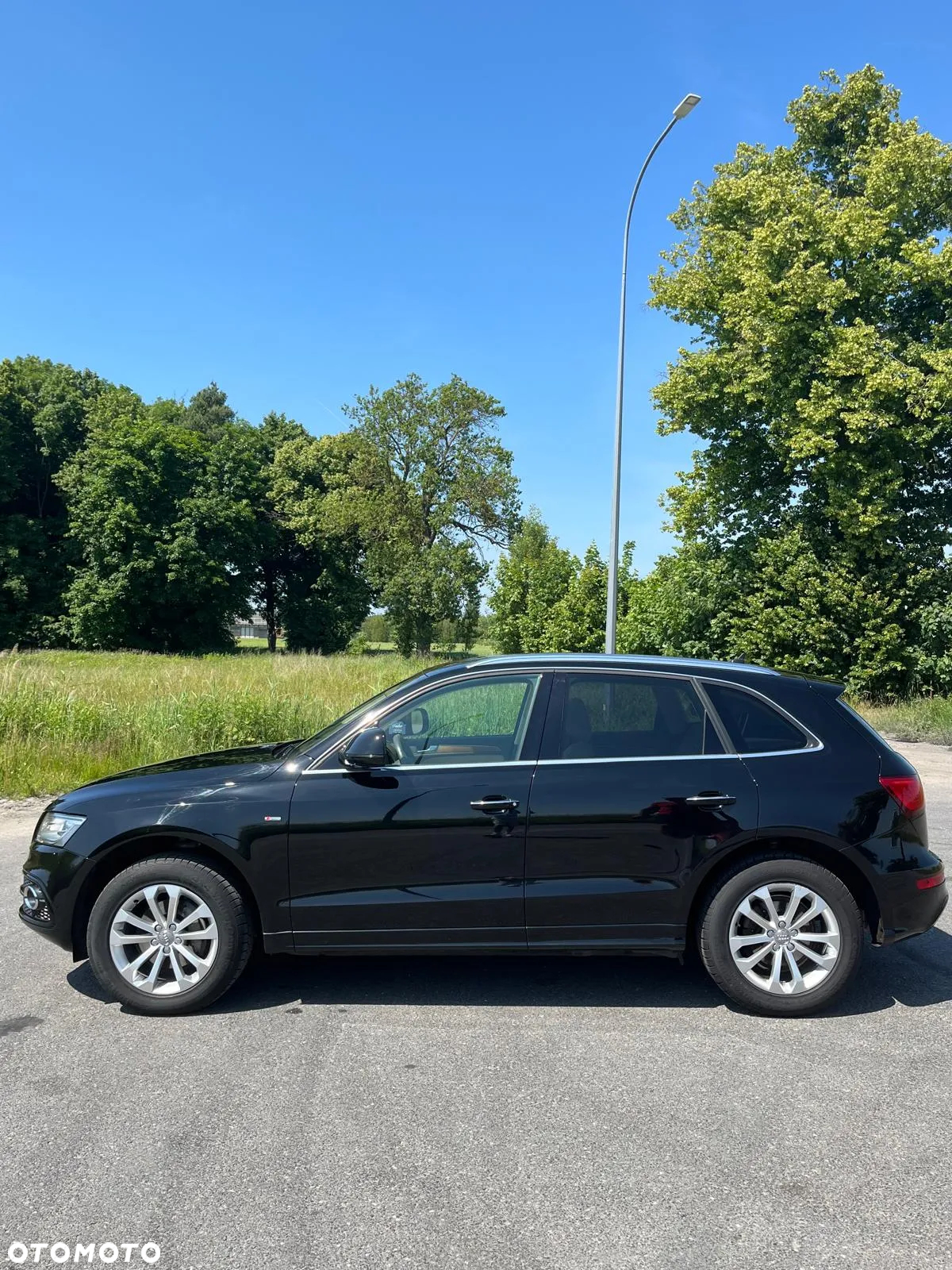 Audi Q5 2.0 TDI clean diesel Quattro S tronic - 5