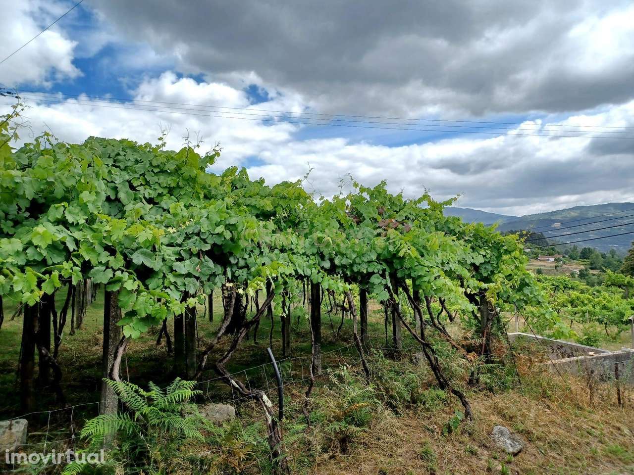 Terreno com 3.662 m² em Sande, Marco de Canaveses - Grande imagem: 3/14