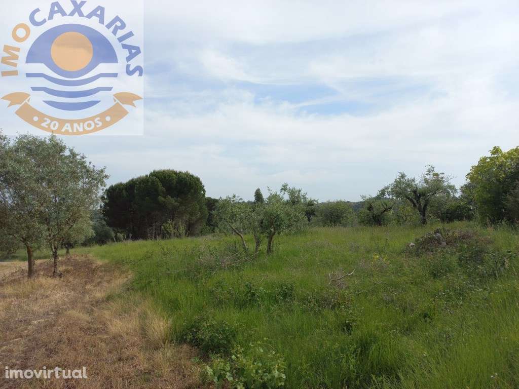 Terreno com Ruína para recuperar - Grande imagem: 4/7