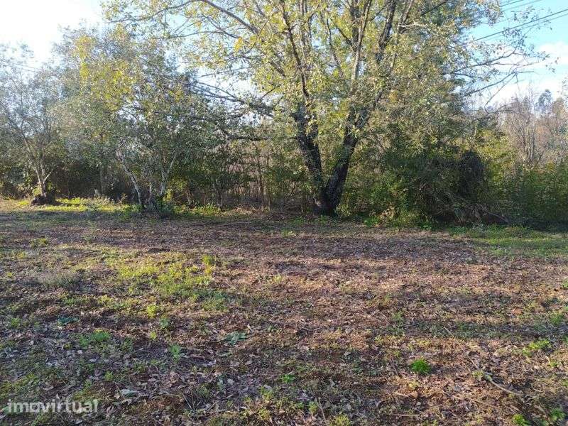 Vende-se Terreno Urbano à entrada da Vila da Lousã - Grande imagem: 2/7