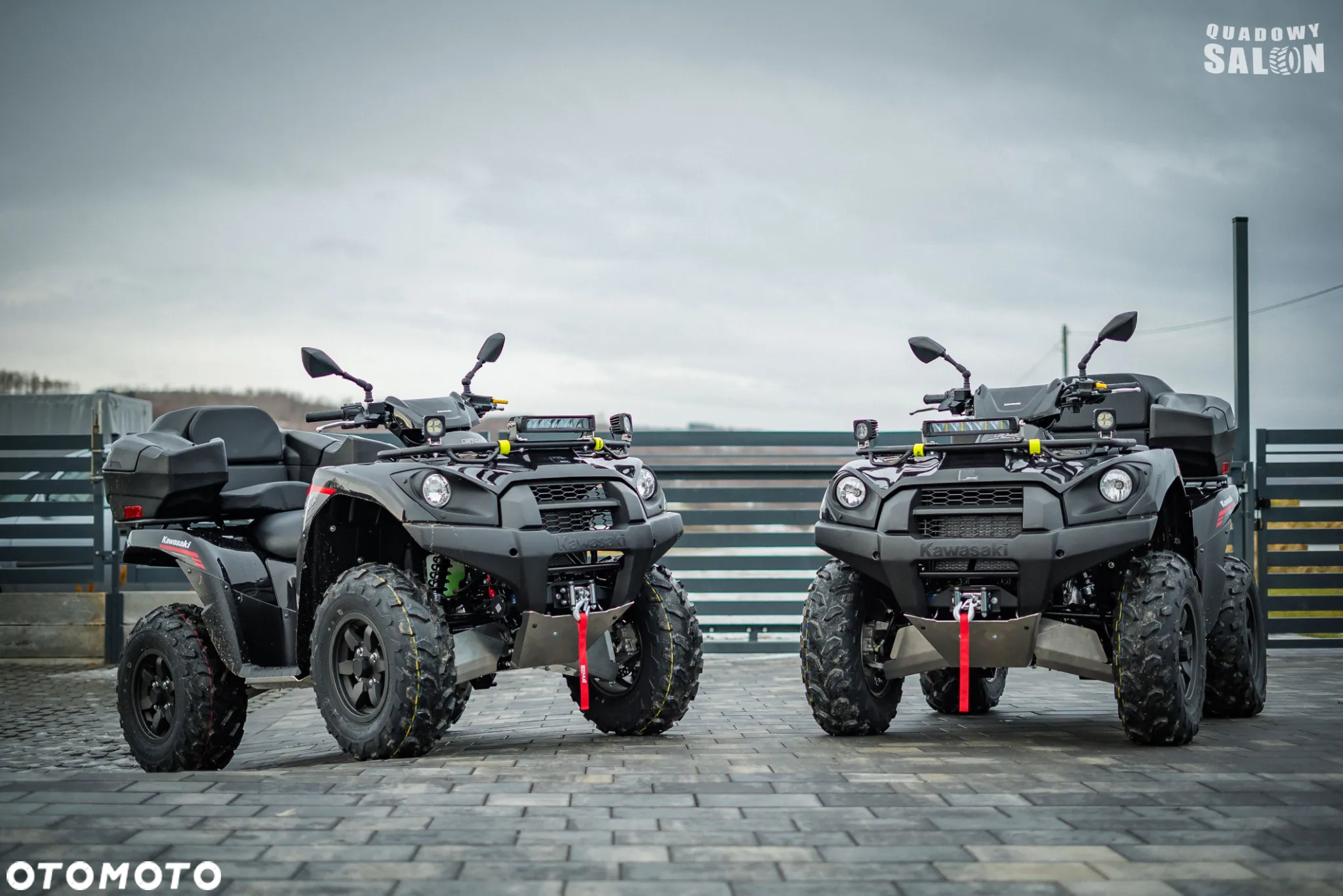 Kawasaki Brute Force - 30