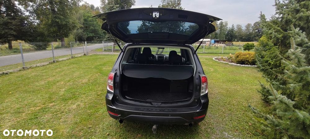 Subaru Forester - 8