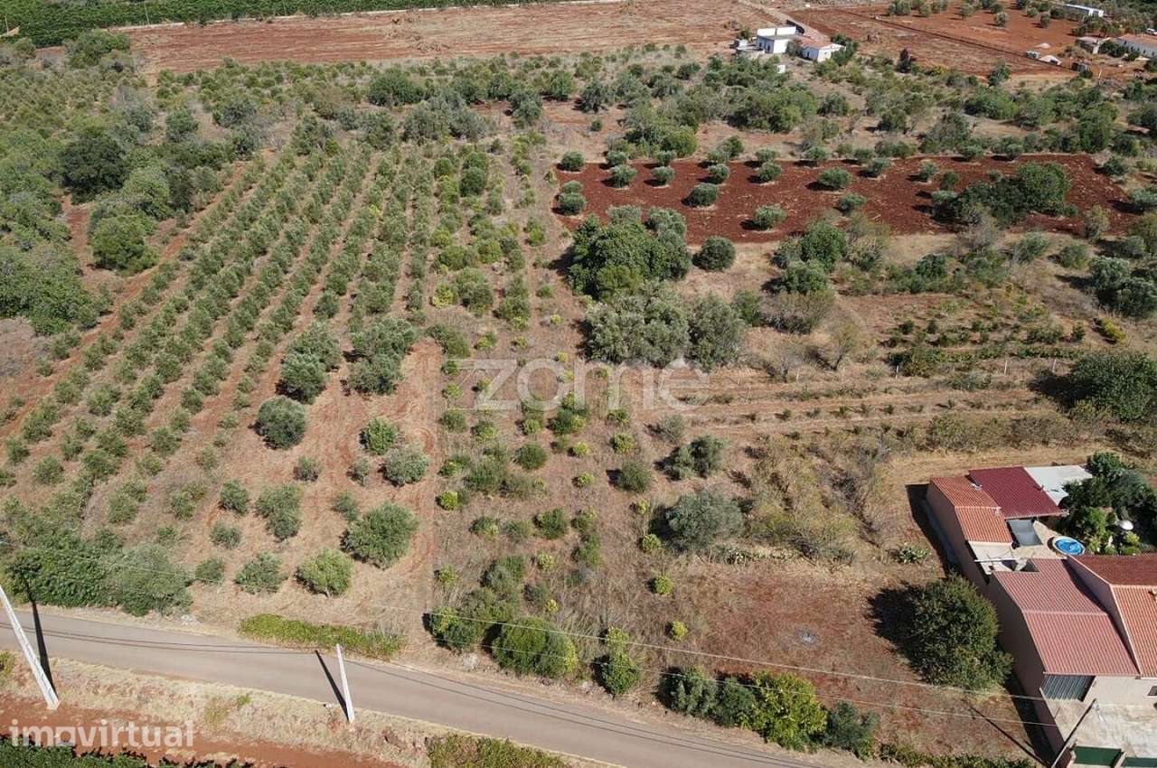 Terreno Rústico com 2.060m2 em Torreirão, Messines - Grande imagem: 3/15