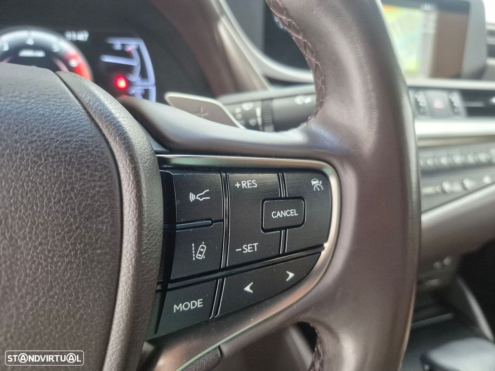 Lexus ES 300h Special Edition - 13