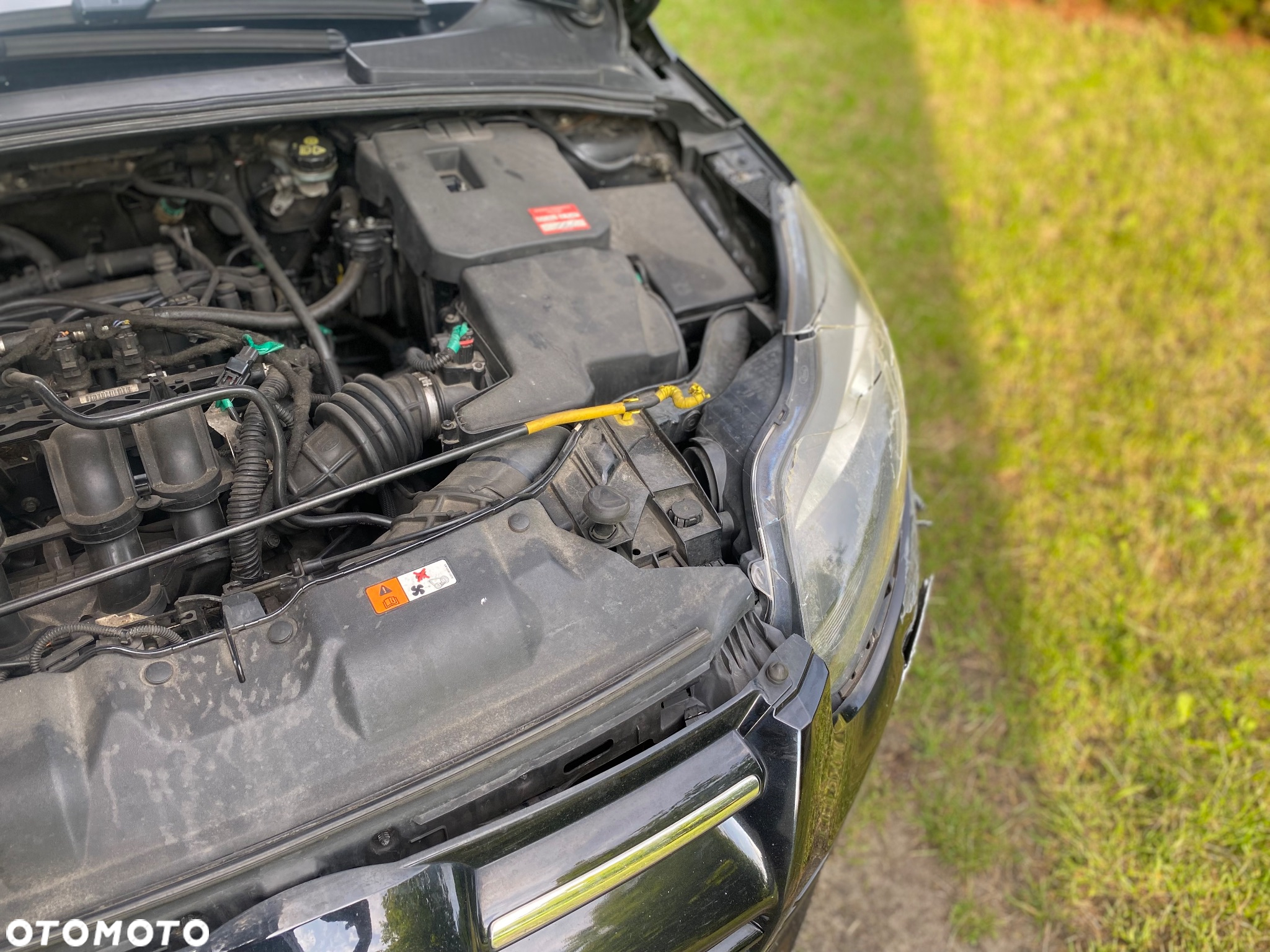 Ford Focus - 3
