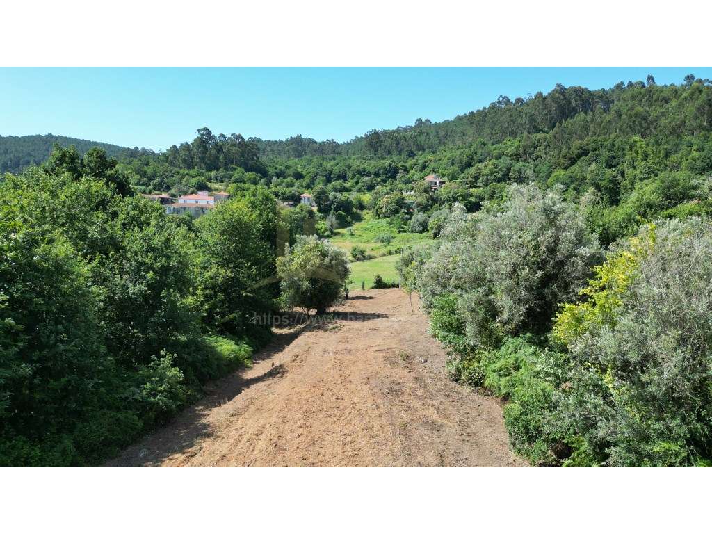 Terreno para construção - Grande imagem: 3/12