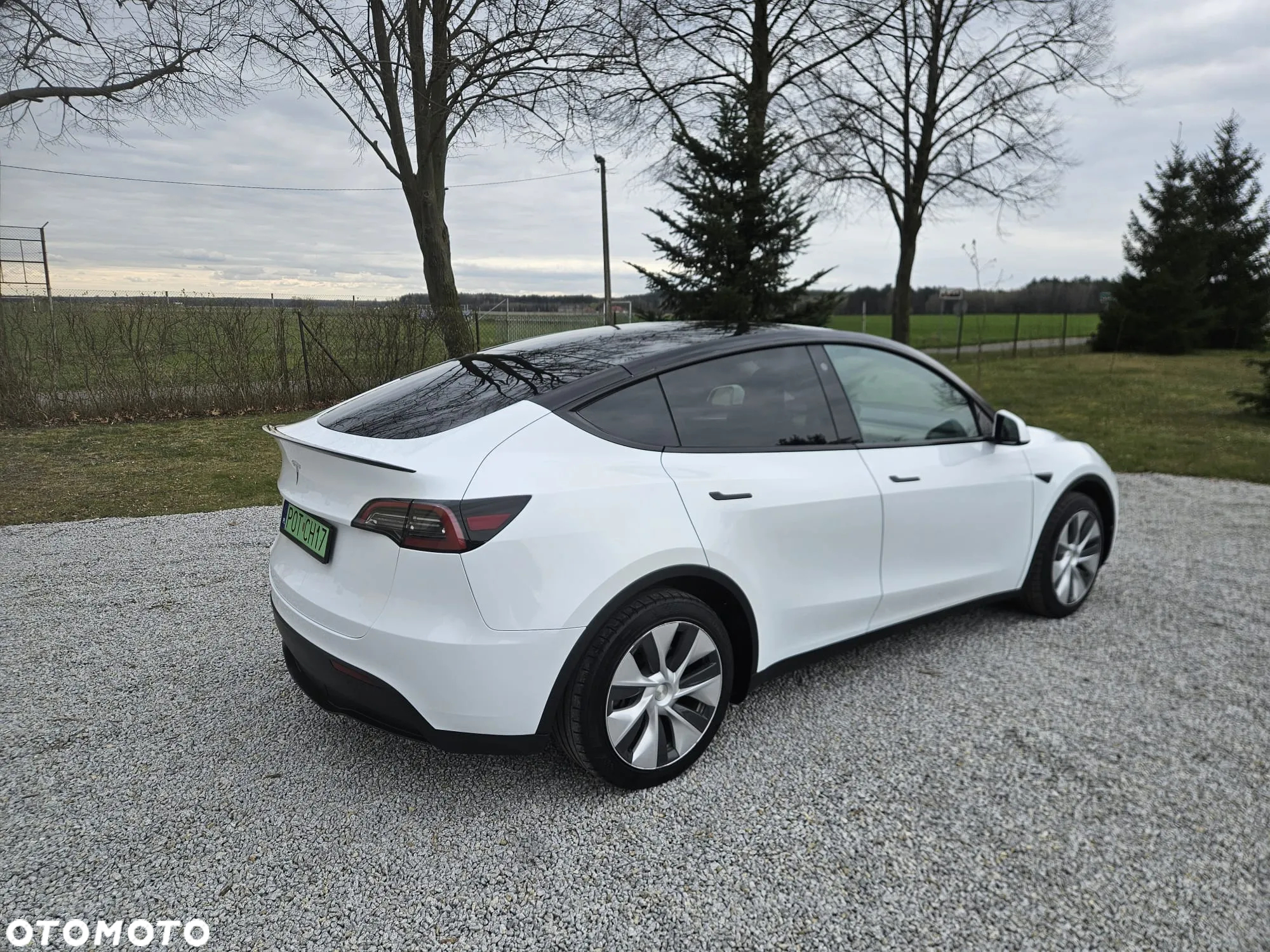 Tesla Y Model RWD - 13