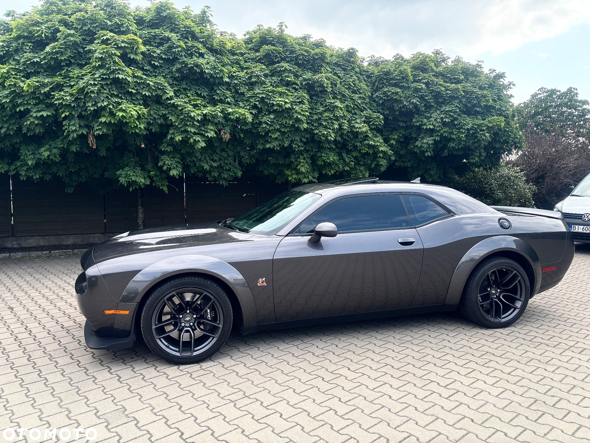 Dodge Challenger 6.4 Scat PackWidebody - 15