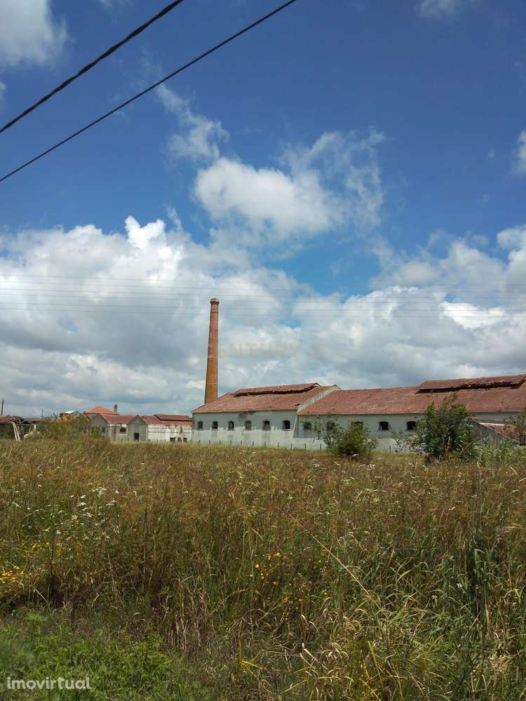 Terreno para construção de moradia em Soure - Grande imagem: 4/15