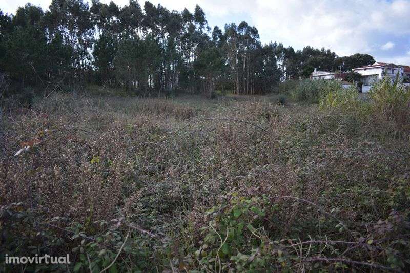 Terreno Urbano para construção de 3 blocos - Grande imagem: 3/5