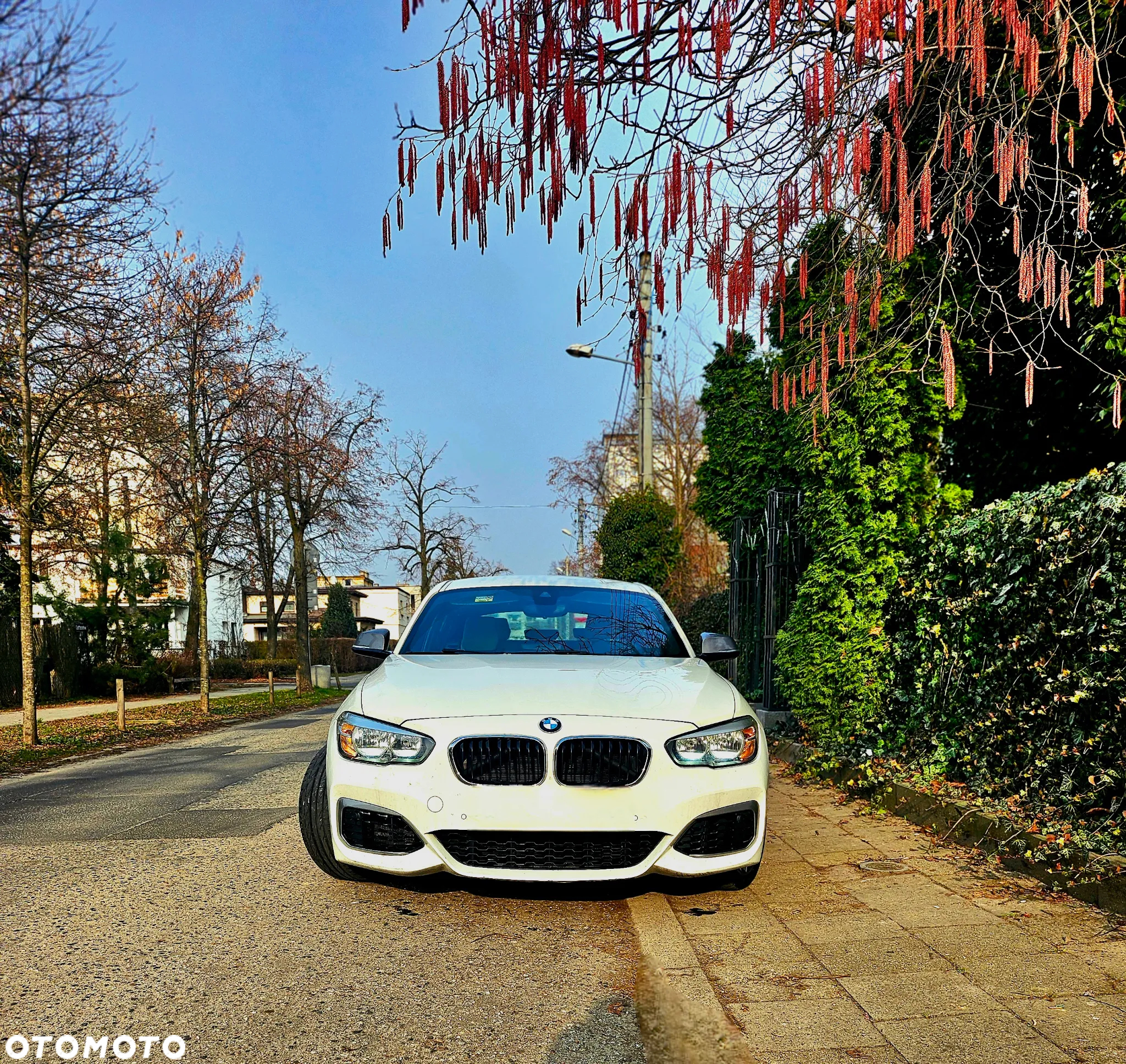 BMW 1M - 3