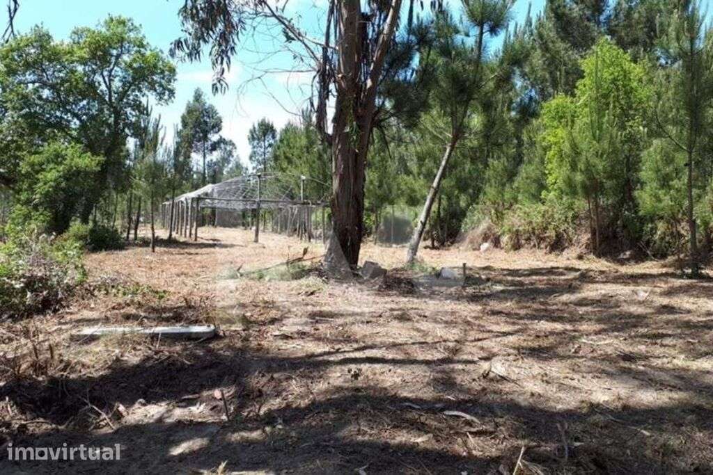 Terreno junto ao Belas Clube de Campo na Tapada de Vale de Lobos - Grande imagem: 3/9